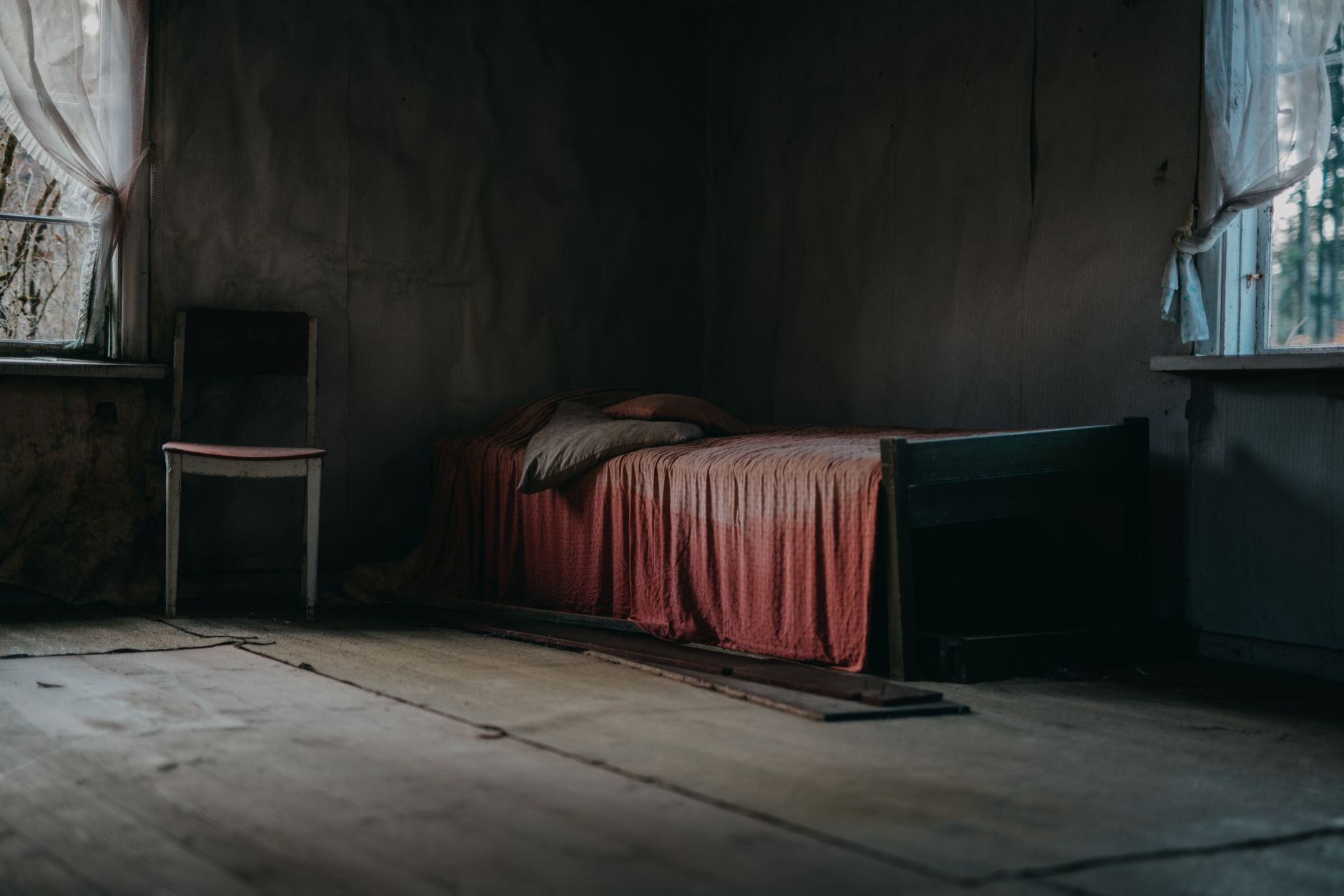 Traitement Punaises de Lit à Gonesse